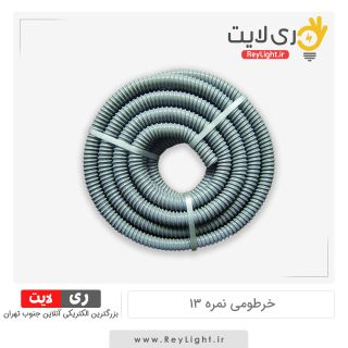 خرطومی نمره 13